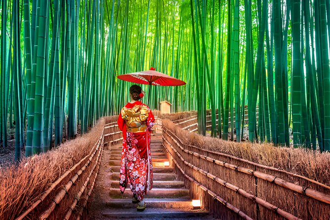 Kyoto Private Tour With Pick and Drop - Accessibility and Additional Information