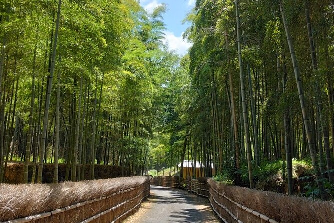 Kyoto Sakura & Hidden Gems of Timeless Tradition - Location and Meeting/End Points