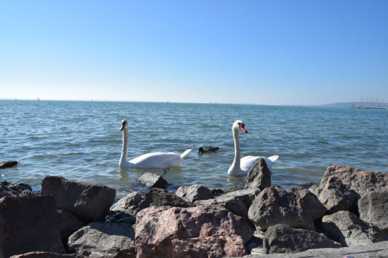 Lake Balaton + Herend Porcelain Experience With Gabor - Detailed Itinerary