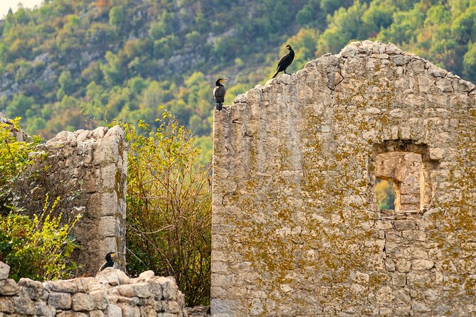 Lake Skadar Guided Tour: Discover the Montenegrin Alcatraz - Customer Feedback and Reviews
