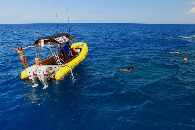 Lanai Deluxe Dolphin Adventure & 3 Snorkel Sites - Vibrant Marine Life Discoveries