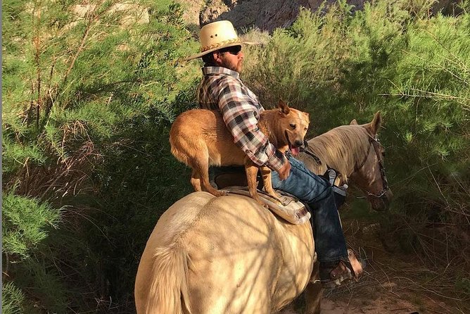 Las Vegas Horseback Ride With Meal - Experience Details