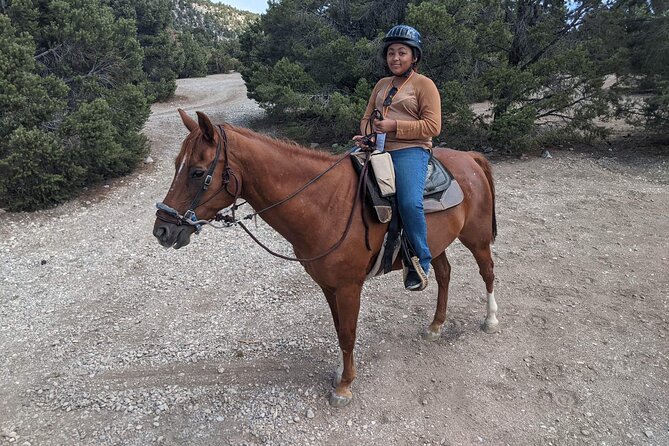 Las Vegas Horseback Riding Adventure - Pricing and Inclusions