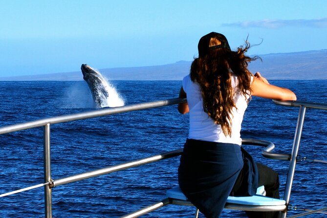 Late Morning Whale Watch Cruise From Abay - Meeting and Pickup Information