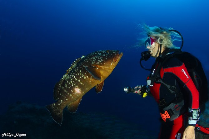Learn to Dive PADI Open Water Diver Course - Expert Instructors and Comfortable Transport