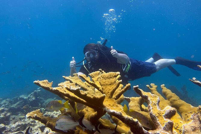 Let It Ride Charters-Private Fishing / Snorkel Combo Key Largo FL - Meeting Point and Pickup