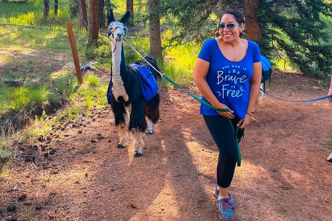 Llama to Lunch in the Rocky Mountains Review - The Llama Hike Adventure