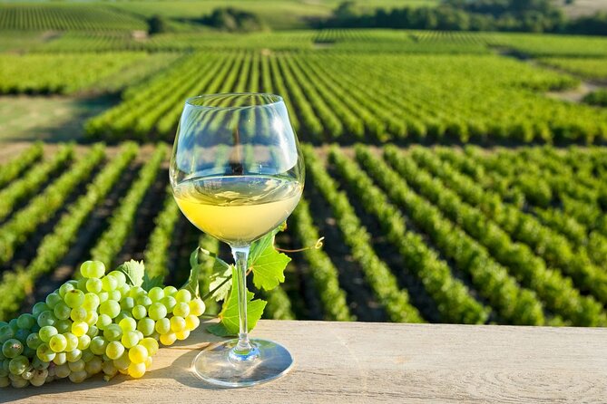 Loire Valley Wine Region: Private Full Day Tour From Tours - Pickup and Return