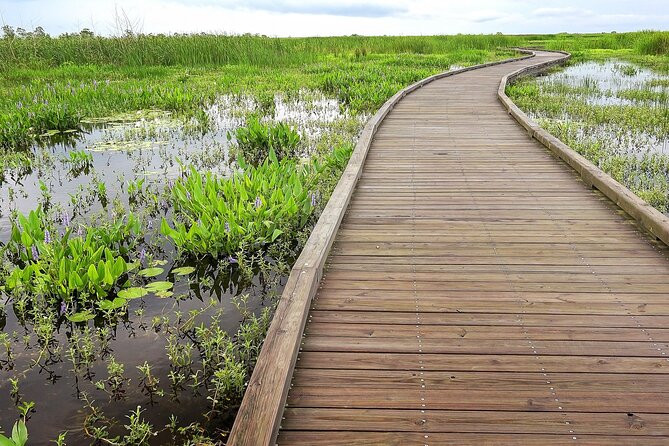 Louisiana Creole Nature Trail Self-Guided Audio Driving Tour - How to Use the Tour App