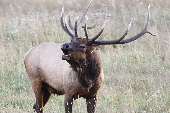 Lower Valley Tour RMNP - Tour Details
