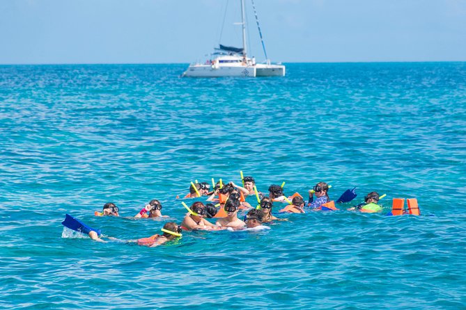 Luxury Catamaran Tour to Isla Mujeres With Transportation From Playa Del Carmen - Transportation Details