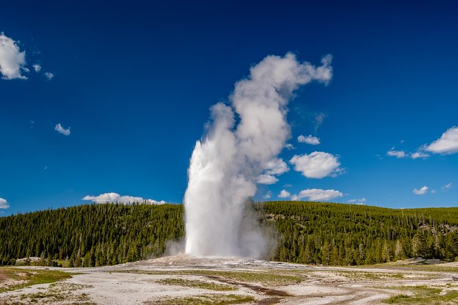 Luxury Grand Loop Tour of Yellowstone National Park - Inclusions and Amenities