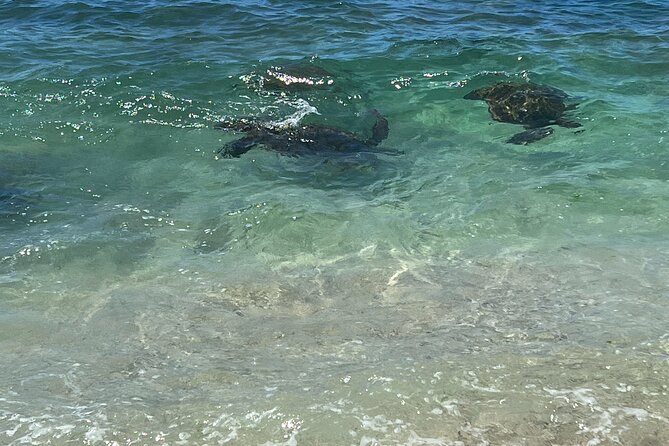 Luxury Private Circle Island Charter Tour - Booking Process