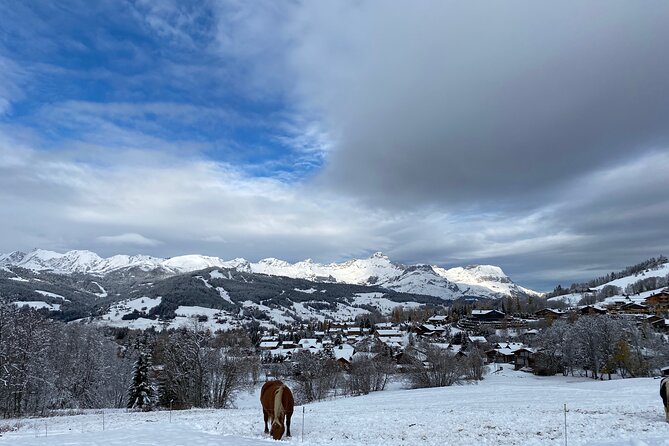Luxury Private Concierge - Bespoke Megève Experience - Itinerary and Meeting Details