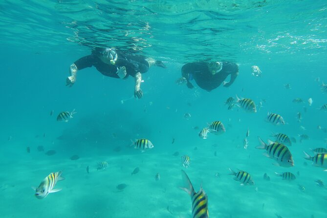 Luxury Snorkeling on Your Vacation Exclusively Private Guaranteed - Personalized Lessons and Guidance