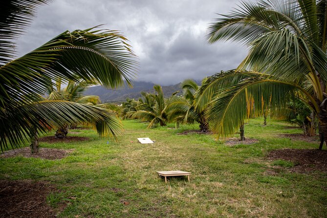 Macnut Tour, Picnic Lunch and Maui Bees - A Delicious Picnic Lunch Awaits