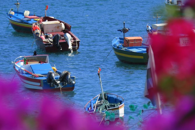 Madeira Sea Cliff and Camara De Lobos 4WD Half Day Tour - Itinerary Overview