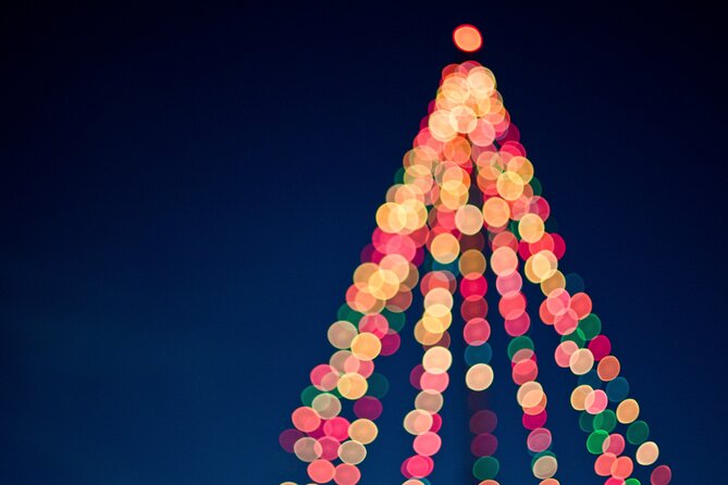 Magical Christmas Journey Through Brighton - Tour Pricing and Booking