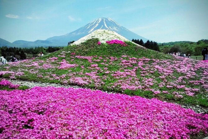 Majestic Mount Fuji: Exclusive Private Day Tour - Pickup Information