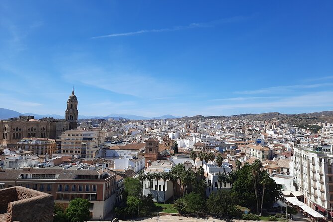 Malaga Half-Day Walking City Tour With Private Expert Guide - Inclusions and Highlights
