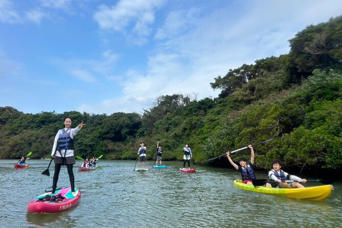 Mangrove SUP in Okinawa - Wildlife Spotting on the SUP Tour