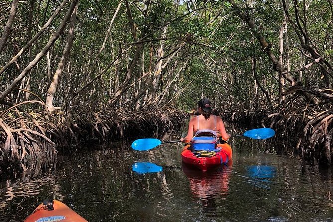 Mangrove Tunnels Pedal Kayak Eco-Tour in Anna Maria - Coastal Ecosystem Exploration