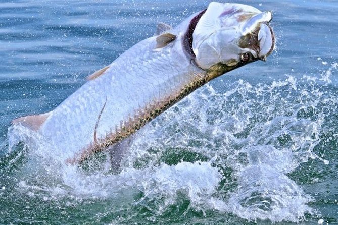 Marathon Tarpon Fishing Charter - Included Amenities and Equipment
