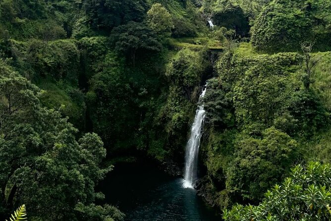 Maui's Sea Turtles, Waterfalls and Road to Hana Adventure - Visiting Sea Turtles