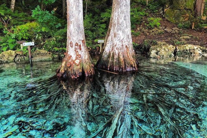 Merritts Mill Pond Eco Adventure - Exploring Jackson Blue Springs