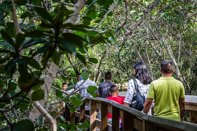 MIAMI: Everglades Airboat, Gator Wildlife Show With Roundtrip Bus - Pricing and Cancellation Policy