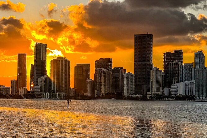 Miami Night Cruise on Biscayne Bay Review - Negative Reviews and Ratings
