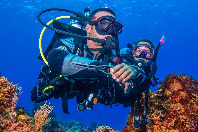 Miami Two Tank Dive Trip - Inclusions