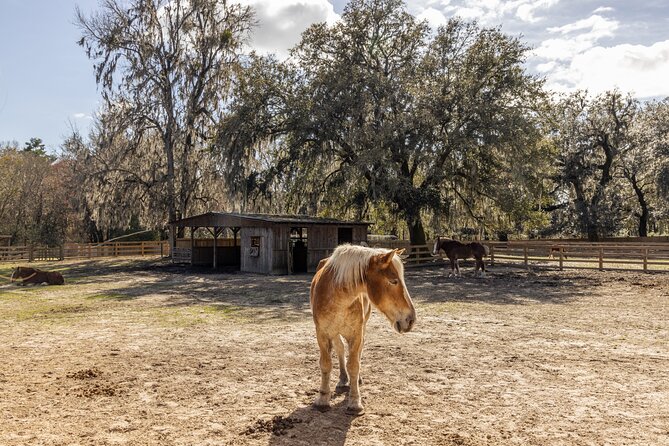 Middleton Place Tour With Lunch and Transportation - Lunch Experience