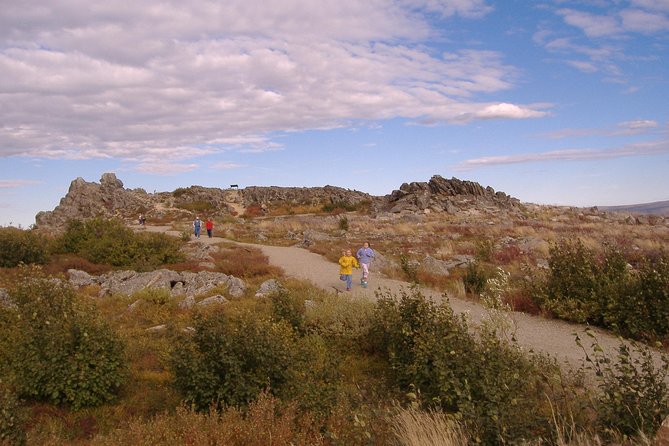 Midnight Sun Arctic Circle Drive Adventure - Transportation and Logistics