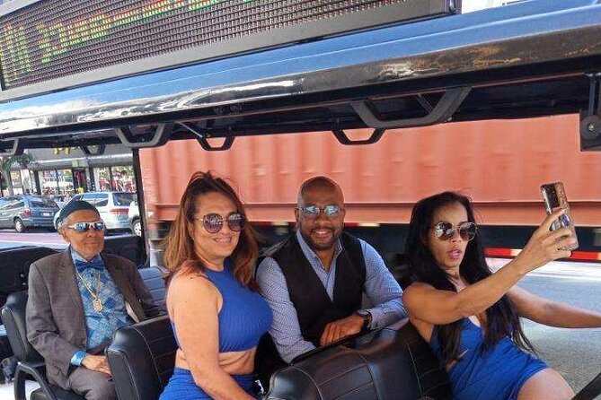 Midtown New York Sightseeing Tour in a Luxury Golf Cart LSV - Luxury Golf Cart Amenities