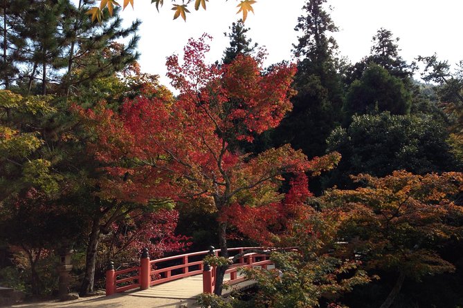 Miyajima Full Day Tour - Highlights of the Tour