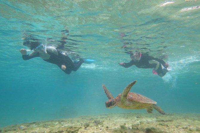 [Miyakojima Snorkel] Private Tour From 2 People Lets Look for Sea Turtles! Snorkel Tour That Can Be Enjoyed From 3 Years Old - Meeting and Location