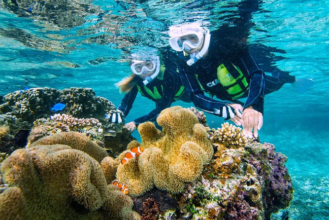Miyakojima / Snorkel Tour to Enjoy Coral and Fish - Meeting and Location