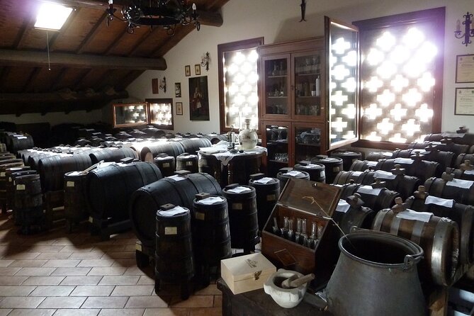 Modena Excellencies Pavarotti Ferrari and Balsamic Vinegar Tour - Inclusions and Highlights