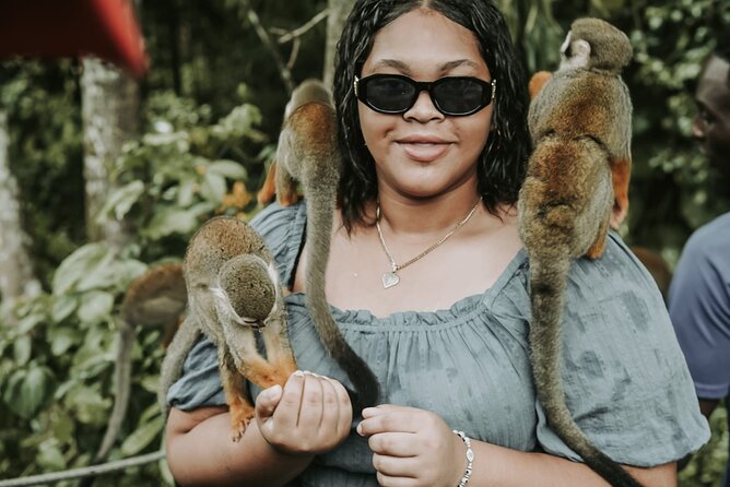 Monkey Jungle With Zip Line - Tour Details and Inclusions