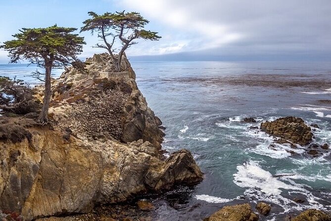 Monterey, Carmel, 17 Mile Drive, Bixby Bridge 5 Hrs From Monterey - Highlights of the Journey