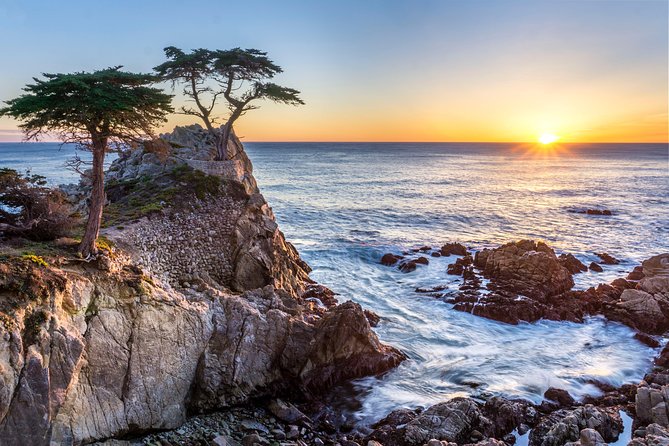 Monterey, Carmel and 17-Mile Drive: Full Day Tour From SF - Itinerary and Stops