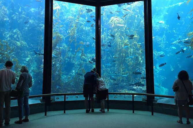 Monterey: Ocean Paradise Tour Review - Transportation and Accessibility