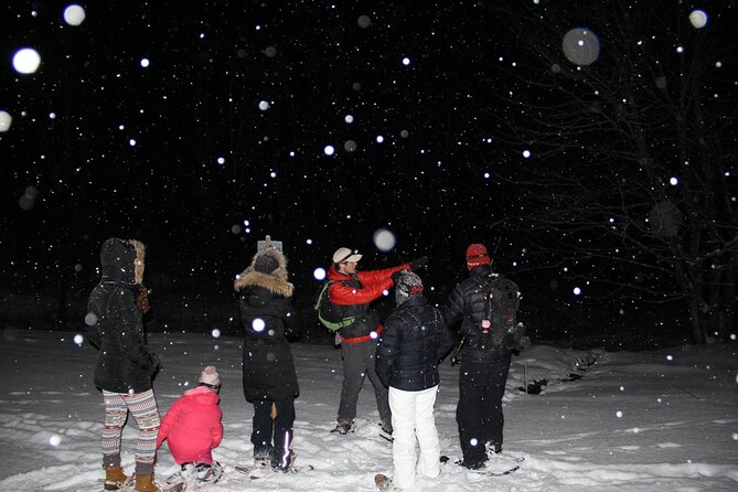 Moonlight Cabin Snowshoe Tour Review - Pricing and Inclusions