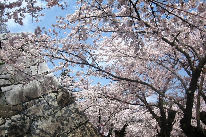Morioka Full-Day Private Tour With Government-Licensed Guide - Transportation Details