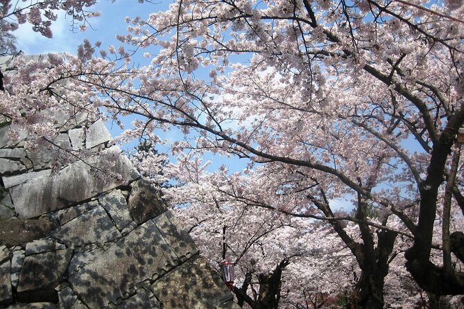 Morioka Half-Day Private Tour With Government-Licensed Guide - Group Size and Inclusions