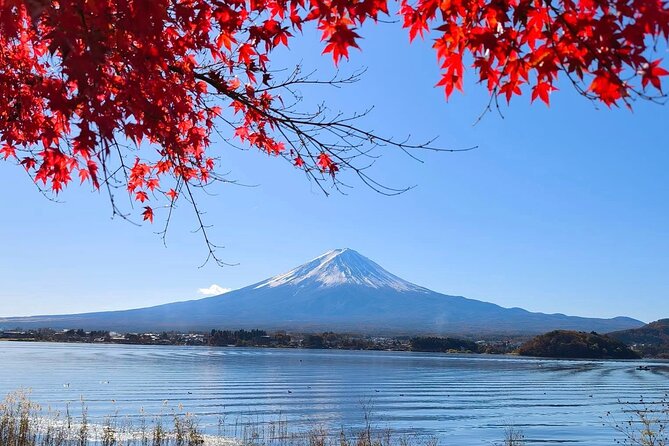 Mount Fuji and Lake Kawaguchi Private Day Trip From Tokyo - Pickup and Drop-off Details