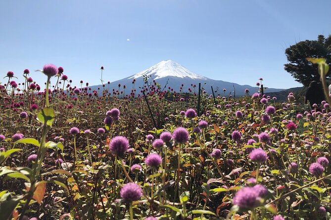 Mount Fuji Full Day Sightseeing Tour From Tokyo - Scenic Highlights