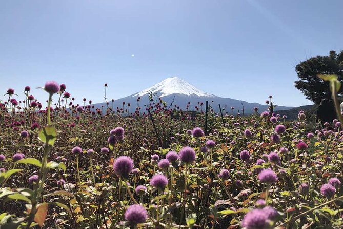 Mount Fuji One Day Tour From Tokyo Japan - Meeting and Pickup
