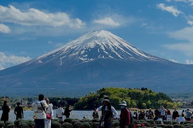 Mount Fuji Private Day Tour With English Speaking Driver - Accessibility and Participation